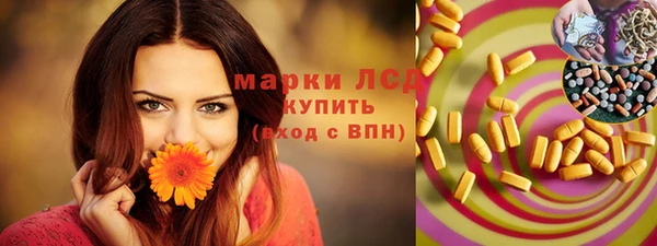 индика Карталы