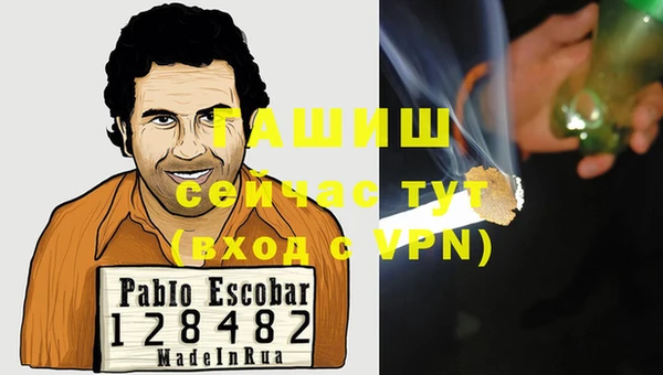 индика Карталы