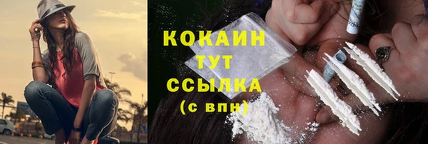 индика Карталы