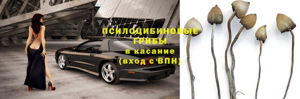 mdpv Касимов