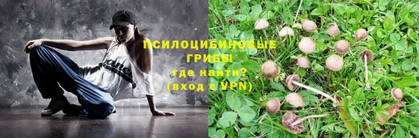 mdpv Касимов