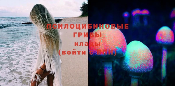 индика Карталы