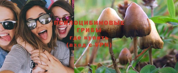 mdpv Касимов