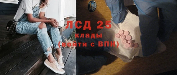 индика Карталы