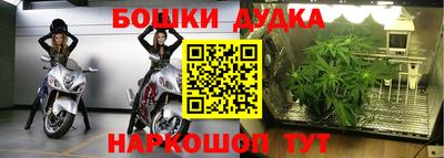 шишки Татарск