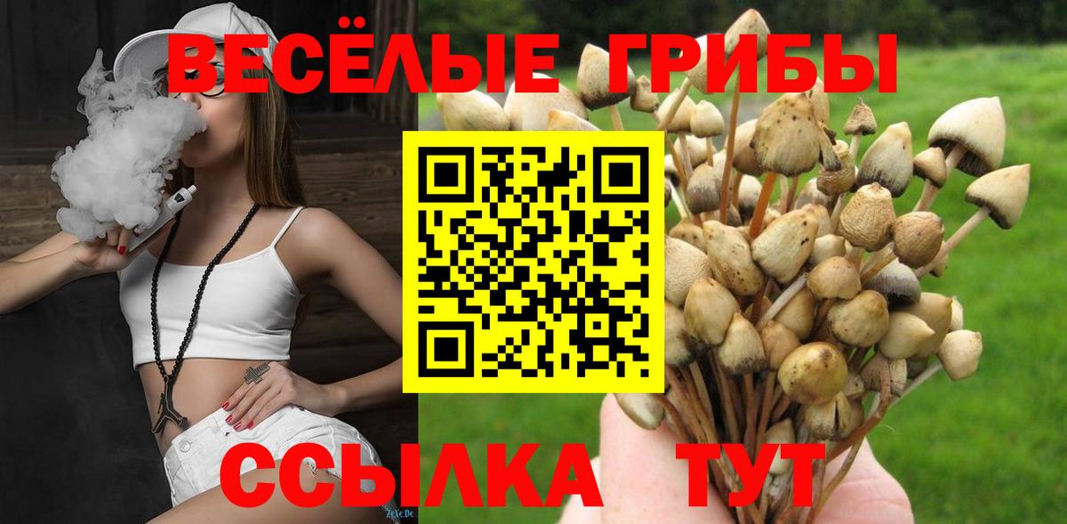 Псилоцибиновые грибы Psilocybe  Вход с VPN  Туймазы 