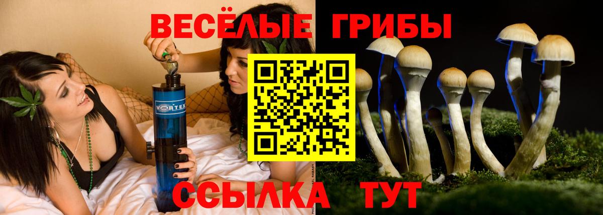 Псилоцибиновые грибы мухоморы Туймазы